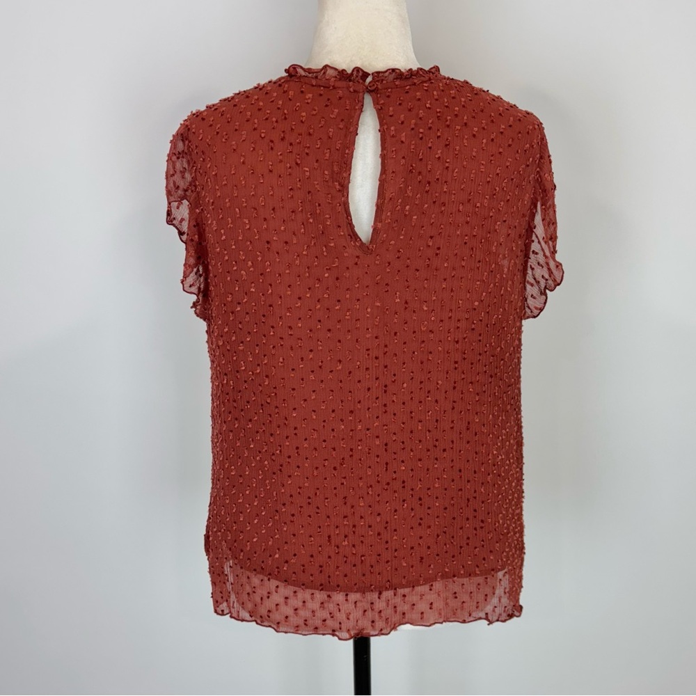 Only orange-brown blouse - Picture 6 of 9